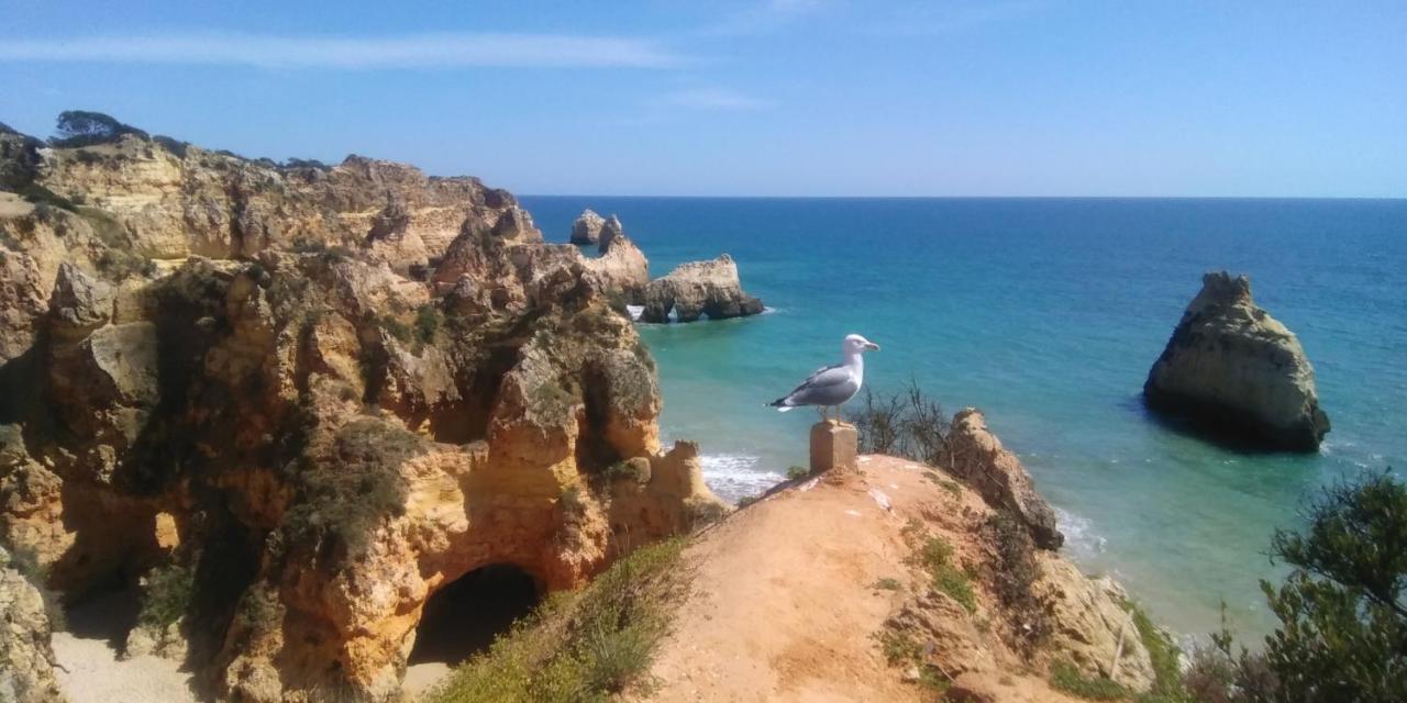 T2 De Luxo Em Albur-Village A 10 Minutos Da Praia A Pe Alvor Ngoại thất bức ảnh